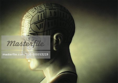 Mannequin Head with Phrenology Diagram