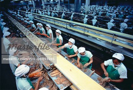 Workers at Fish Processing Plant Bangkok, Thailand