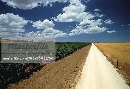 Overview of Farmland The Barossa Valley South Australia, Australia