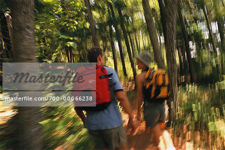 Back View of Couple Hiking in Forest, Belgrade Lakes, ME, USA