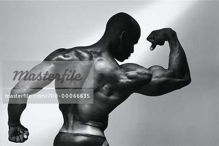 Back of Male Body Builder Flexing Muscles - Stock Photo - Masterfile -  Rights-Managed, Artist: Raoul Minsart, Code: 700-00066635