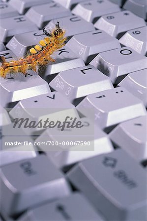 Close-Up of Caterpillar on Computer Keyboard