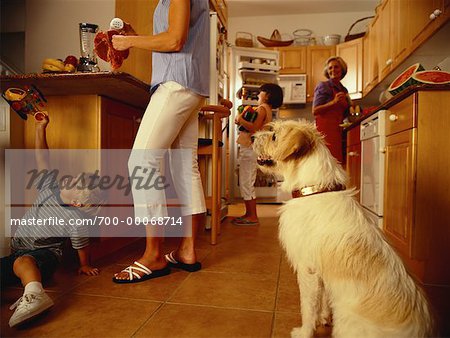 Dog Watching Woman Preparing Steak in Kitchen