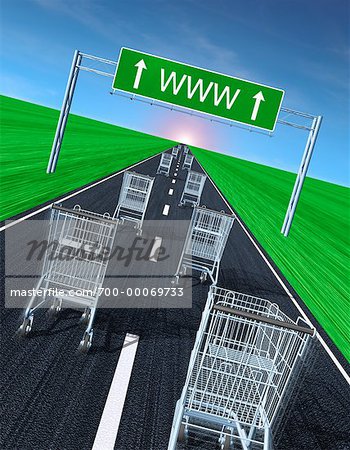 Shopping Carts on Road under WWW Sign