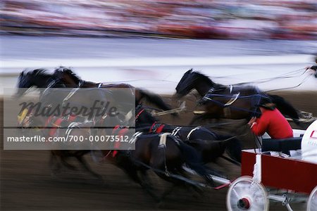 Chuckwagon Race at Calgary Stampede, Calgary, Alberta Canada