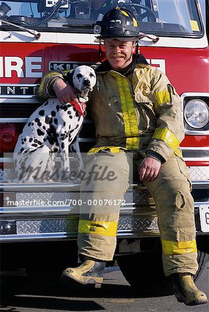 Fireman cheap and dalmatian