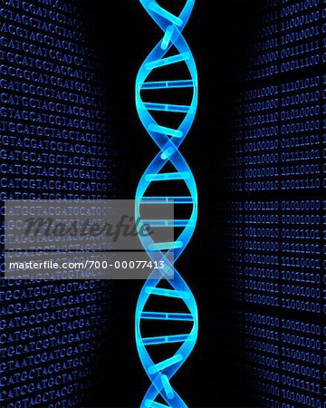 DNA Strand and Binary Code