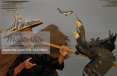 Fisherman Feeding Cormorants Yangshou, Guangxi Region, China