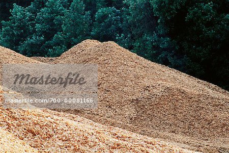 Wood Chips for Pulp and Paper Manufacturing