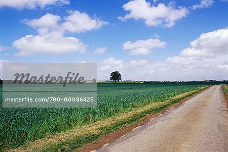 Country Road, Field and Sky France