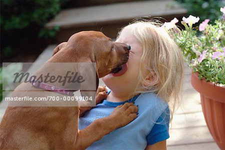 Puppy Licking Girl's Face