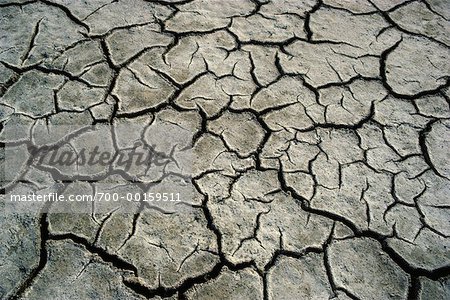 Dried Out Prairie Slough