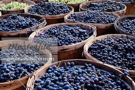 Baskets of Grapes