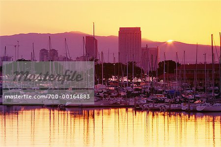 Yacht Marina and San Diego Skyline