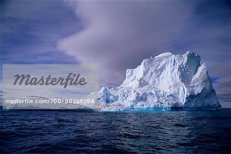 Paulette Island, Antarctica