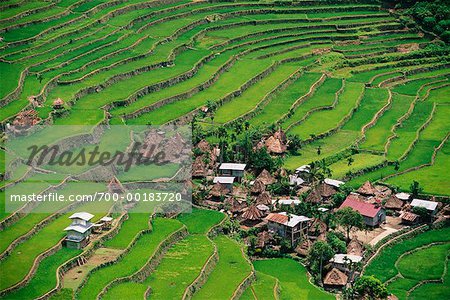 Small Terrace-Farming Town Philippines