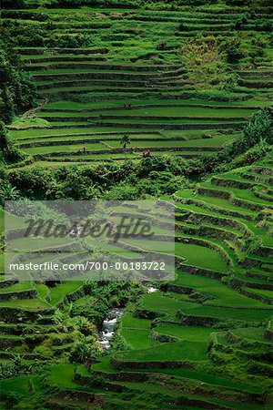 Banaue Rice Terraces Banaue, Ifugao Philippines