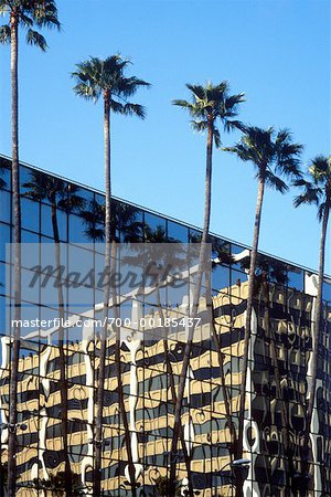 Building and Palm Trees Hollywood, California, USA