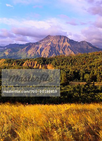 Waterton Lakes National Park Alberta, Canada