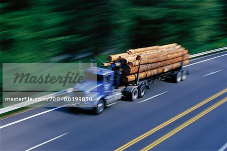 Logging Truck