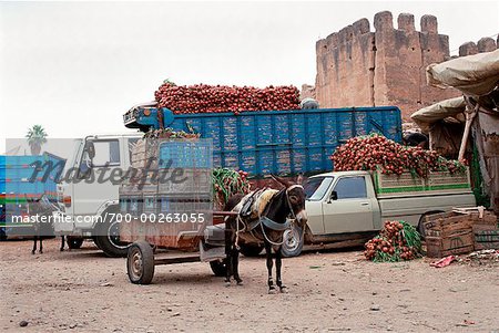 Morning Market Outside the Old City Walls of Taroudant, Morocco