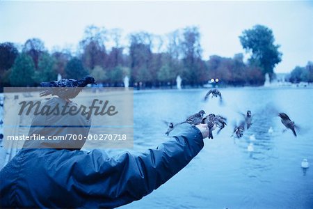 Man Feeding Birds by River