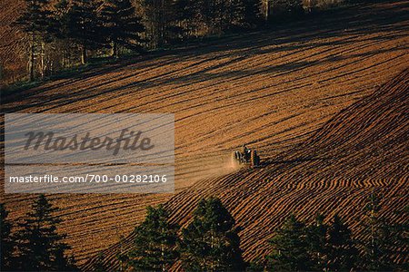 Farmer Ploughing Field