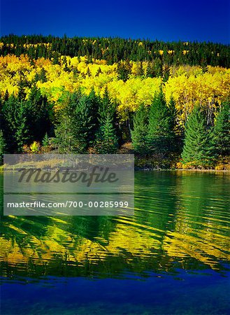 Forest by Lake in Autumn Cypress Hills Provincial Park Alberta, Canada