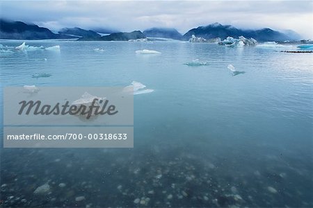 Alsek Lake Glacier Bay National Park Alaska, USA