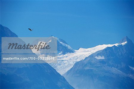 Saint Elias Mountains, Tatshenshini River, British Columbia, Canada