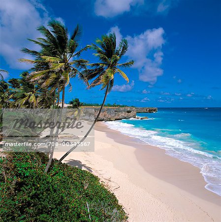 Overview of Beach