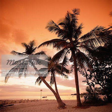 Sunset at Smathers Beach Key West, Florida, USA