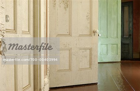 Hallway of Doors