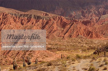 Valles Calchaquies, Cachi, Salta Province, Argentina