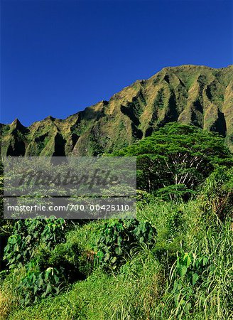 Hoomaluhia Botanical Gardens Koolau Mountain Range Oahu Hawaii