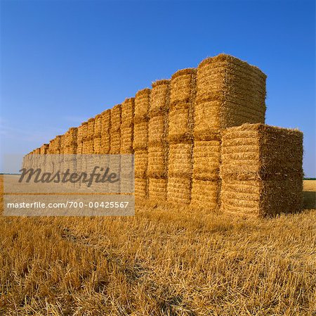 Stacks of Hay Bales