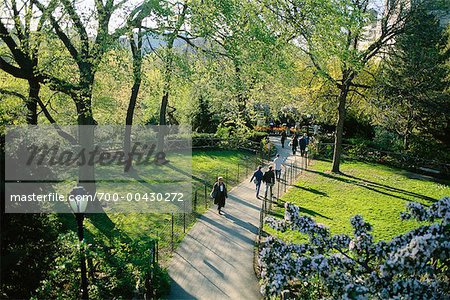 Shakespeare Garden Central Park New York City New York Usa