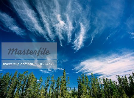 Cirrus Clouds Near Hay River, Northwest Territories, Canada