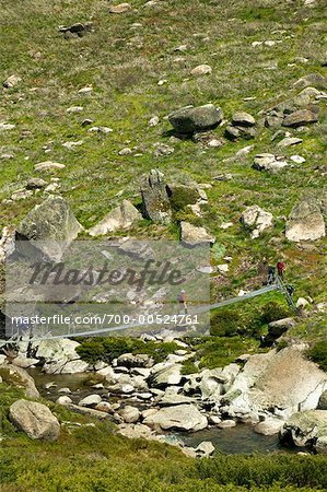 Tour Group Crossing Bridge, Kosciuszko National Park, New South Wales, Australia