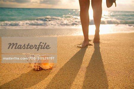 Woman's Legs and Conch Shell on Beach