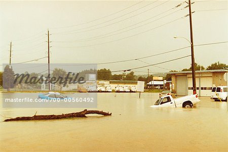 Flood, Peterborough, Ontario, Canada