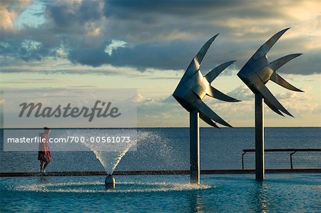 Steel Fish Sculptures, Esplanade Saltwater Swimming Lagoon, Cairns, Queensland, Australia