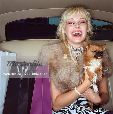Woman in Back Seat of Car with Chihuahua