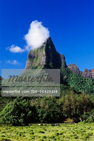 Mount Tohiea and Opunohu Valley, Moorea, French Polynesia
