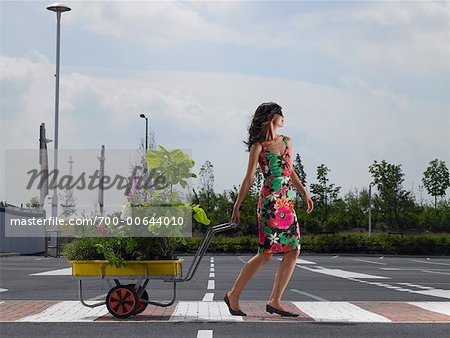 https://image1.masterfile.com/getImage/700-00644010em-woman-in-parking-lot-pulling-wagon-full-of-plants-stock-photo.jpg