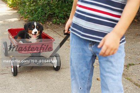 Boy Pulling Dog in Wagon