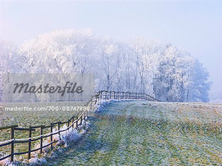 Frost on Field, Bavaria, Germany