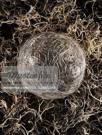 Steel Wire Ball on Dried Grass