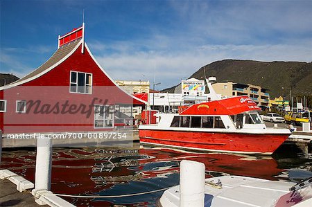 Boats at Dock, Picton, South Island, New Zealand