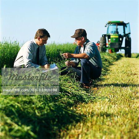 Businessman and Farmer Examining Crops